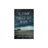 A Tiny Piece of Blue
