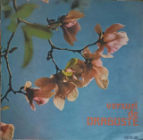 Vinil LP Versuri de Dragoste - Colectiv (Electrecord, 1976) Folk/Pop/Rock, Recital poezie, 30cm