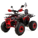 Atv copii XTR 018/8 Pro Discovery, roti 8 inch, 125cc, 4 timpi, 3+1, pornire ele... Cod Produs: MX_NEW XTR018/8PRO3+11-4