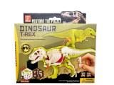 Set constructie schelet dinozaur T-Rex 3D 32 piese educativ pentru copii