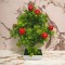 Copacel decorativ cu fructe model cires 28 cm