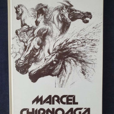 Marcel Chirnoaga. Album, desen, acvaforte, gravura, sculptura