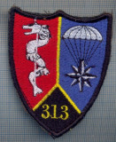 AX 1214 EMBLEMA AVIATIE-PARASUTISTI-ESCADRILA313 ?-BAZA313 ?-PENTRU COLECTIONARI