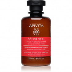 Apivita Color Seal șampon pentru protecția părului vopsit 250 ml