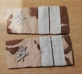 C3 - Grade militare - mozaic desert - plutonier vanatori de munte