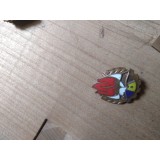 Insigne Pionieri Stema