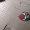 Insigne Pionieri Stema