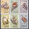 DB1 Fauna Marina Scoici Kenya 1971 valorile mari 6 v. MNH