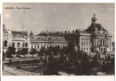 CPIB 15741 CARTE POSTALA - ORADEA. PIATA VICTORIEI, RPR