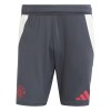 Manchester United pantaloni scurți de fotbal EU Training carbon - L, Adidas