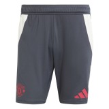 Manchester United pantaloni scurți de fotbal EU Training carbon - S