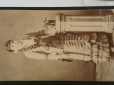 FOTOGRAFIE EXCEPTIONALA ,dimensiuni aproximative 11 cm x 6 cm .Vechime peste 150 ani. Distinsa doamna