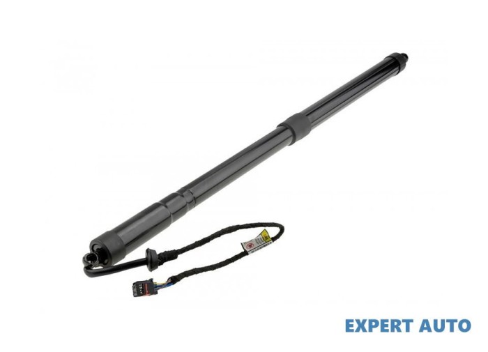 Amortizor capota spate Ford C-Max (2007-&gt;) #1