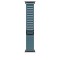 APPLE WATCH 49 LIGHT BLUE B TI ALP M-ZML