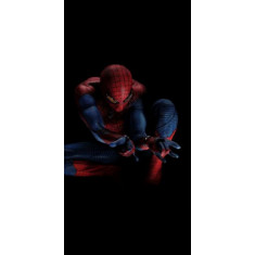 Husa Personalizata ALLVIEW V1 Viper I 4G Spiderman 2