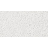 Tencuiala decorativa, Baumit NanoporTop 25 Kg