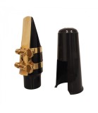 Set Mustiuc Saxofon Alto Parrot