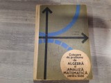 Culegere de probleme de algebra si analiza matematica pt licee-I.Stamate, Crisan