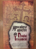 Apocalipse apocrife ale Noului Testament