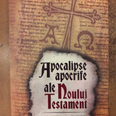 Apocalipse apocrife ale Noului Testament