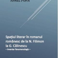 Spatiul literar in romanul romanesc de la N. Filimon la G. Calinescu - Ionel Popa