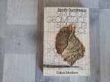 Structuri geometrice,strucruri plastice de Zamfir Dumitrescu