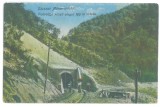 5005 - VALEA VISEULUI, Maramures, Railway Tunnel, Romania - old postcard - used