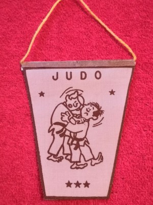 Mini fanion JUDO foto