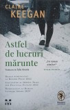 Carte Astfel de lucruri marunte de Claire Keegan - Roman Beletristica