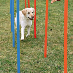 Obstacole pentru câini - Agility Slalom 115x3cm