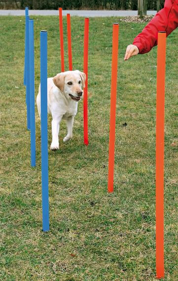 Obstacole pentru c&acirc;ini - Agility Slalom 115x3cm