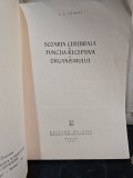 Scoarța cerebrală și funcția receptivă a organismului - A. T. Pșonic
