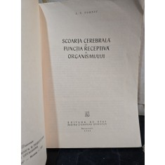 Scoarța cerebrală și funcția receptivă a organismului - A. T. Pșonic