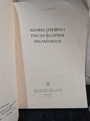 Scoarța cerebrală și funcția receptivă a organismului - A. T. Pșonic foto