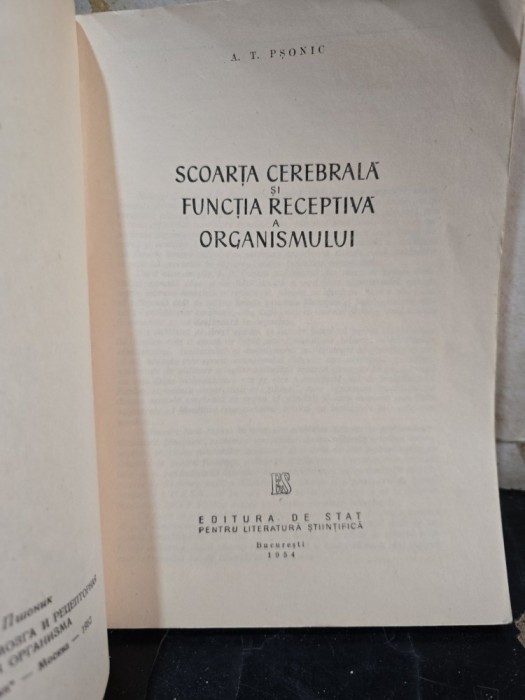 Scoarța cerebrală și funcția receptivă a organismului - A. T. Pșonic