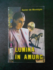 XAVIER DE MONTEPIN - LUMINA IN AMURG foto