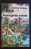 Peregrin valah - Gheorghe Tomozei