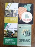 Lot 4 Cărți Viticultură Combaterea Bolilor Agricole - Tehnică