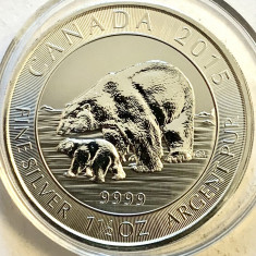 CANADA 8 DOLLARS/DOLARI 2015,AG.47.10,,,1,5 OZ,,AG.999,,,URSUL POLAR foto