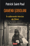 Oamenii-șobolani. &Icirc;n subteranele interzise ale Chinei - Paperback brosat - Patrick Saint-Paul - Polirom