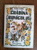 Gradina bunicului - Romeo Popescu, Scrisul Romanesc, 1989, Carte Povesti Copii, Coperti tari, 46 pagini
