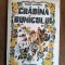 Gradina bunicului - Romeo Popescu / R8P2S