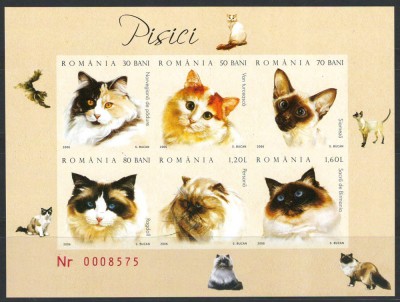 Romania 2006 LP 1707 b Pisici foto