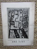 Ana Iliut catalog expozitie grafica 1966 galeria Magheru Bucuresti