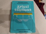 Grinzi continue. Prof. Emerit Ing. Constantin N. Avram