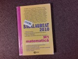 MATEMATICA BACALAUREAT 2010 M BALUNA/PANAITOPOL