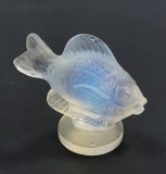 Sabino, Peste din opalina, Secol XX