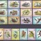 DB1 Fauna Pasari Kiribati 1982 - 1985 18 v. MNH