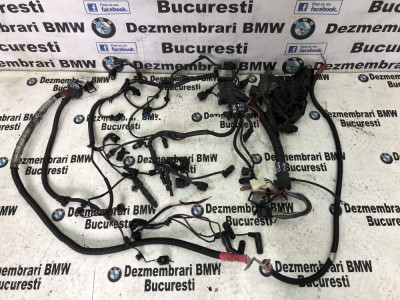 Instalatie electrica motor xDrive cutie automata BMW F10,F11,F18 525xd foto