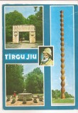 RF61 -Carte Postala- Targu Jiu, Constantin Brancusi, necirculata 1981